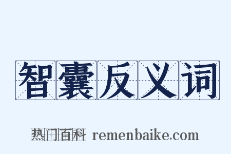 智囊反义词是什么意思的图片